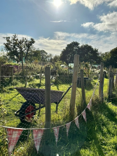 Swallowfield Allotments